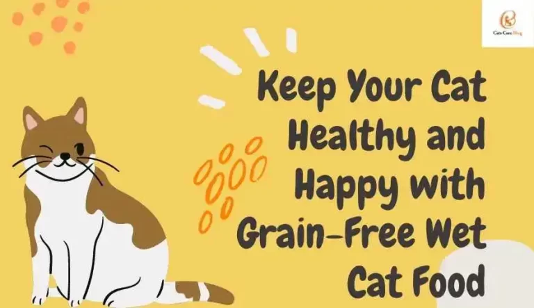 Keep your cat healthy and happy with grain-free wet cat food