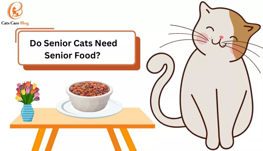 Do Senior Cats Need Senior Food?
