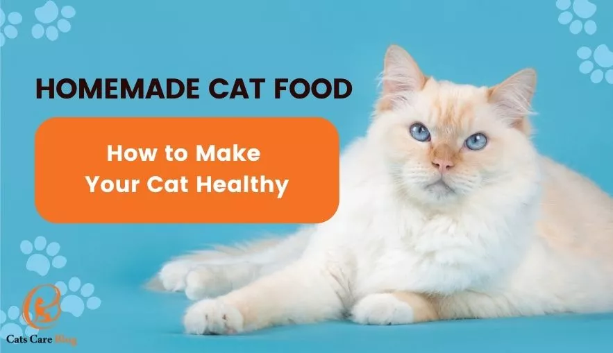 How to  make your cat healthy