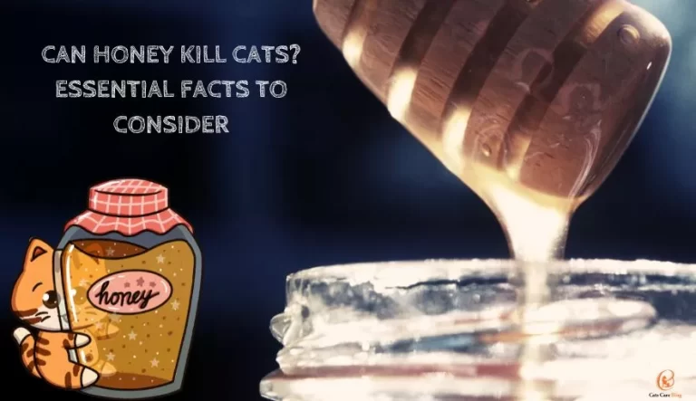 Can Honey Kill cats? (Essential Facts to Consider)