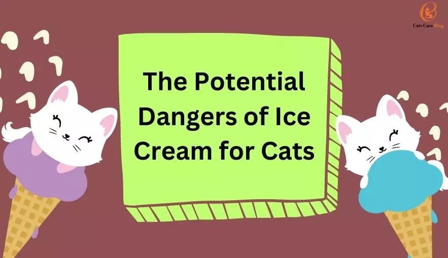 The Potential Dangers of Ice Cream for Cats