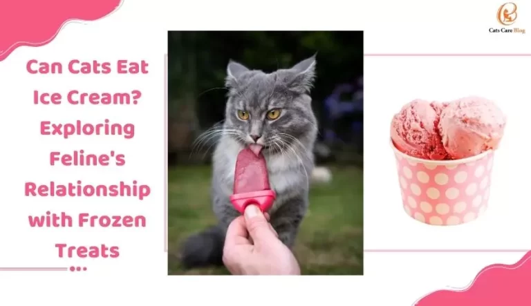 Can Cats Eat Ice Cream? Exploring Feline's Relationship with Frozen Treats