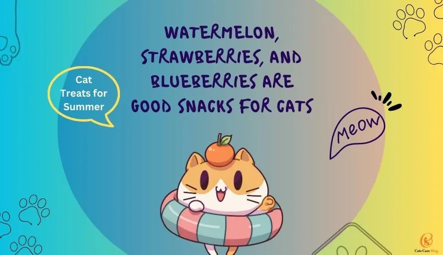 What's Your Cat's Favorite Summer Treat?