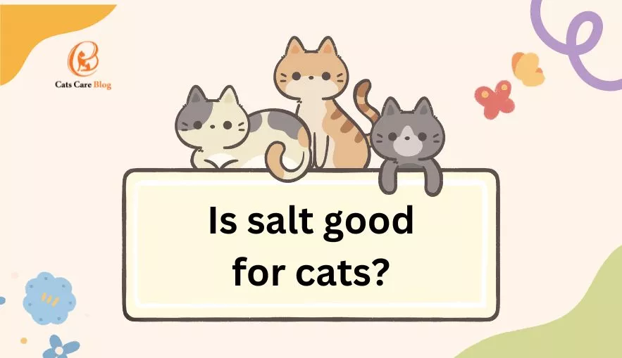 Is salt good for cats?