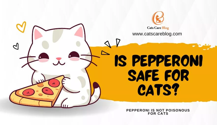 Is Pepperoni Safe For Cats: (Keeping Your Feline Friend Healthy)