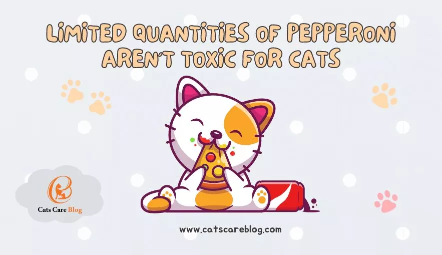 The Popularity of Pepperoni cat treats