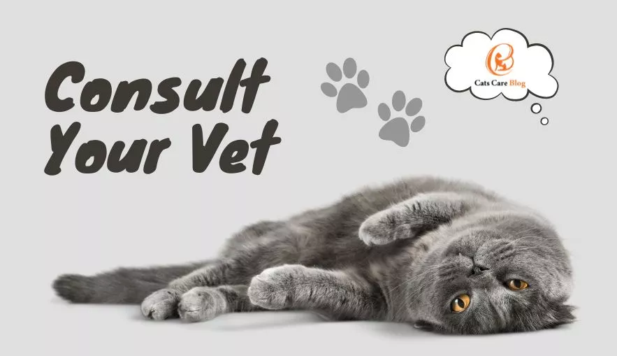 Consult Your Vet