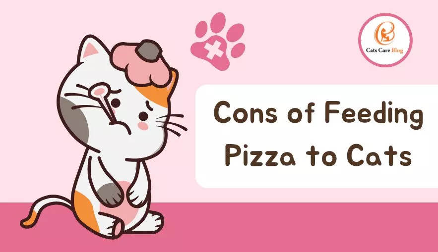 Cons of Feeding Pizza to Cats
