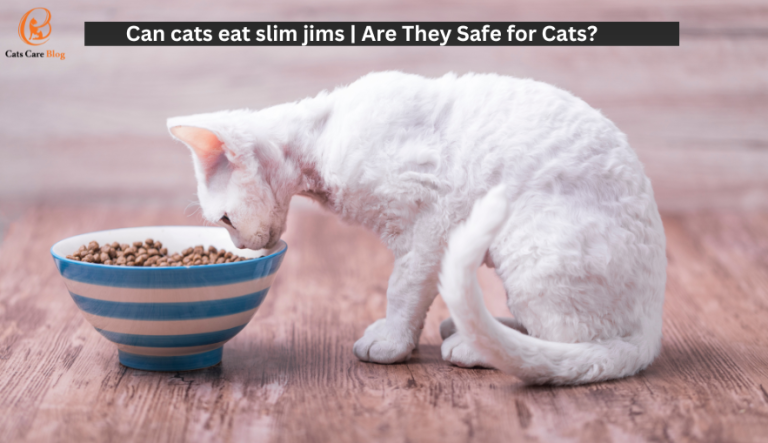 Can cats eat slim jims | Are They Safe for Cats?