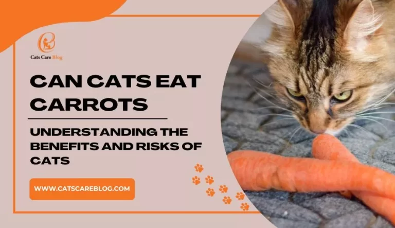 Can Cats Eat Carrots | Understanding the Benefits and Risks of Cats