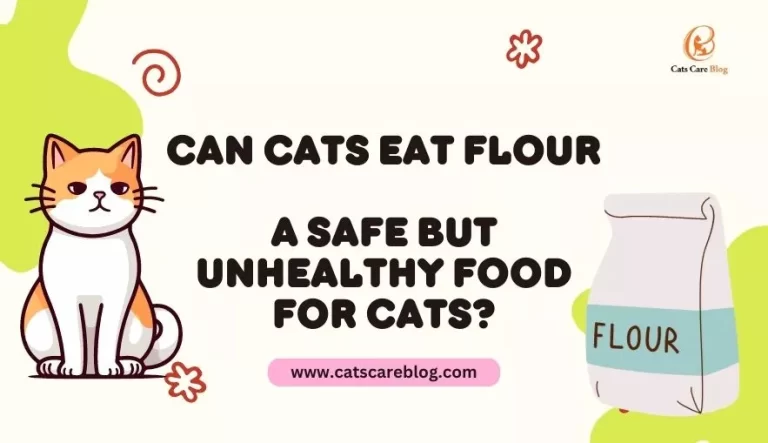 Can Cats Eat Flour |A Safe but Unhealthy Food for Cats?