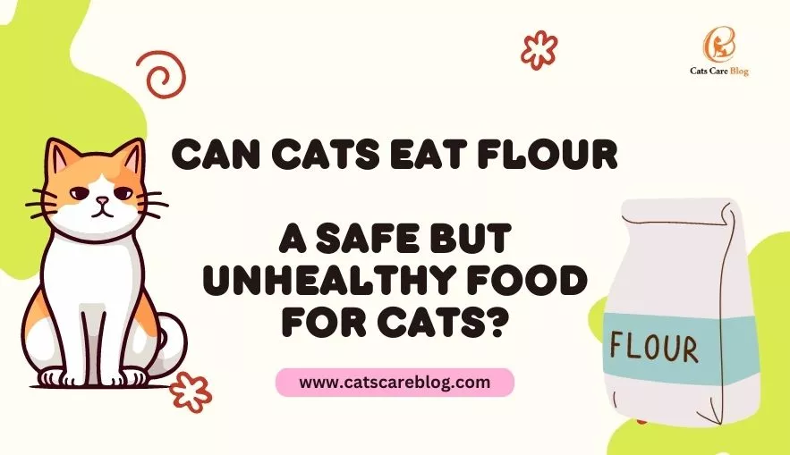 Can Cats Eat Flour |A Safe but Unhealthy Food for Cats?