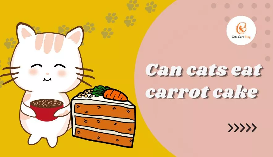 Can cats eat carrot cake?