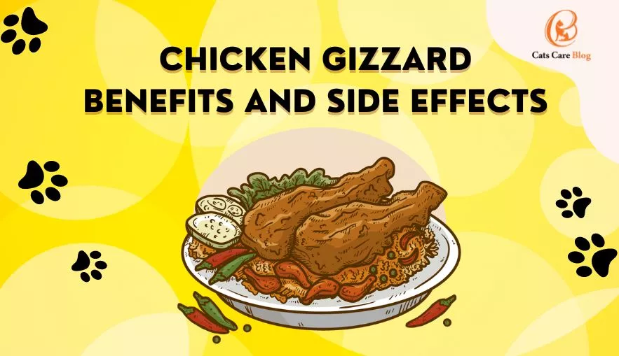 Chicken gizzard benefits and side effects