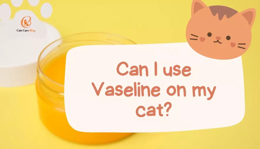 Can I use Vaseline on my cat?