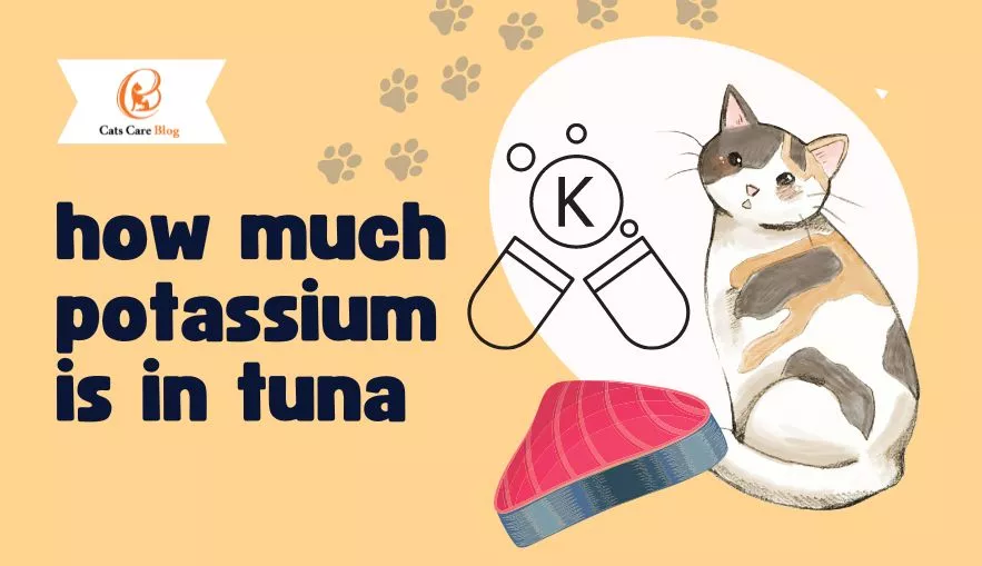 How Much Potassium is in Tuna?