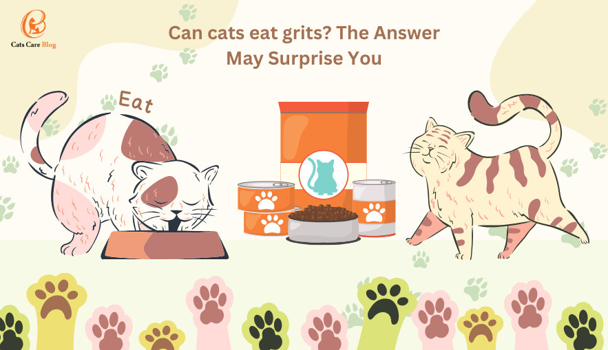 Can cats eat grits? The Answer May Surprise You
