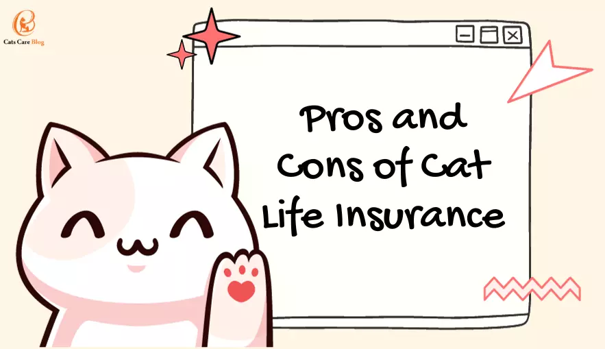 Pros and Cons of Cat Life Insurance