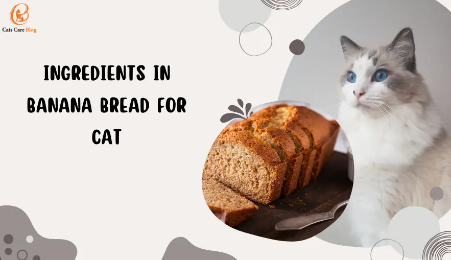 Ingredients in banana bread for cat