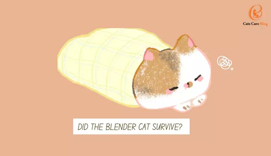 Did the blender cat survive? 