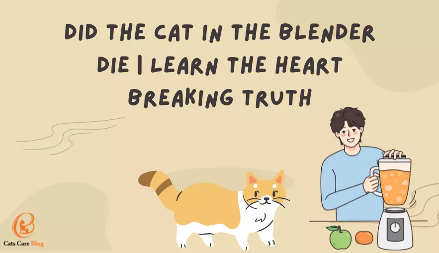 Did The Cat In The Blender Die | Learn The Heart Breaking Truth