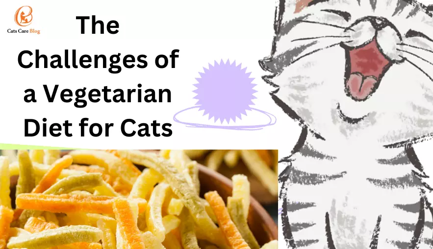 The Challenges of a Vegetarian Diet for Cats
