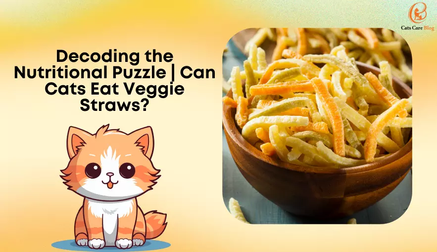Decoding the Nutritional Puzzle: Can Cats Eat Veggie Straws?