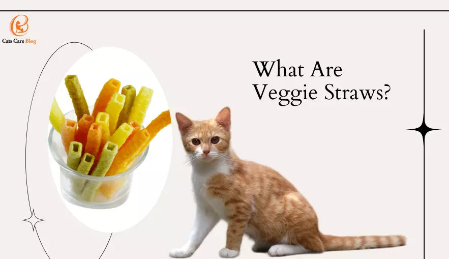What Are Veggie Straws?