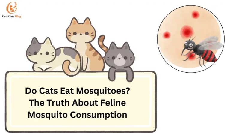 Do Cats Eat Mosquitoes? The Truth About Feline Mosquito Consumption