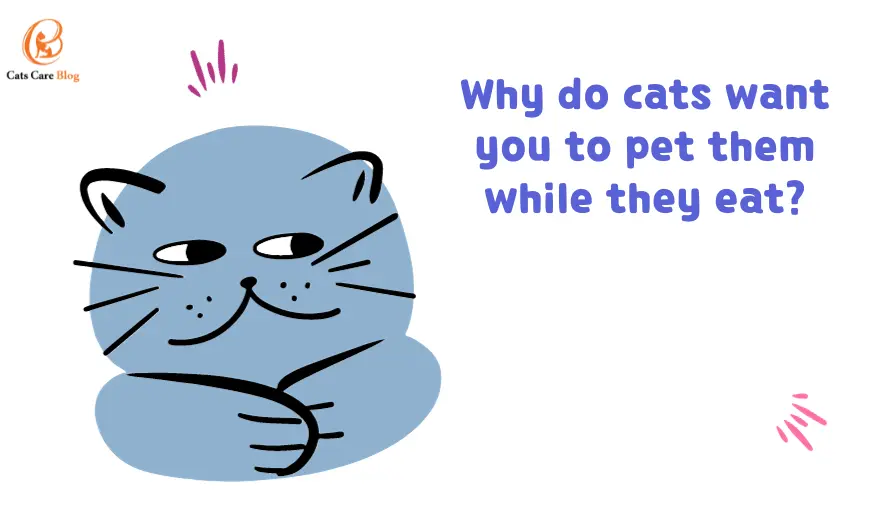 Why do cats want you to pet them while they eat?