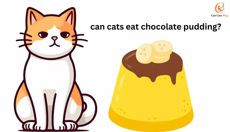 Can Cats Eat Chocolate Pudding?